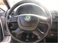 Fabia stribro 028